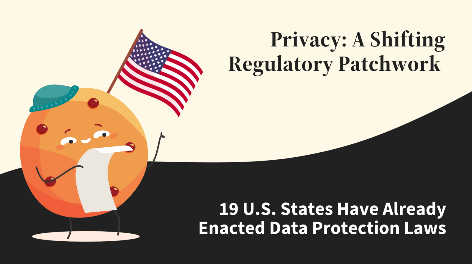 US privacy regulation